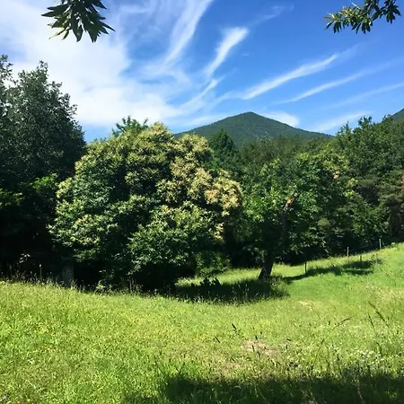 Les Gites Du Deves Campsite